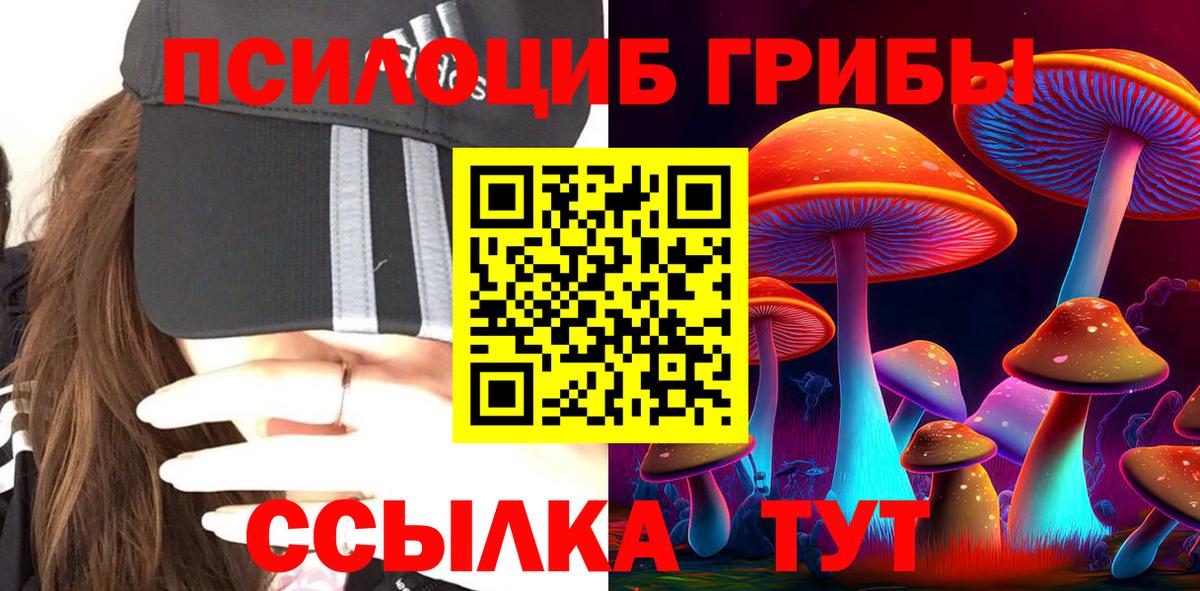 Галлюциногенные грибы прущие грибы  Вход с VPN  Псилоцибиновые грибы Cubensis  Мурманск 
